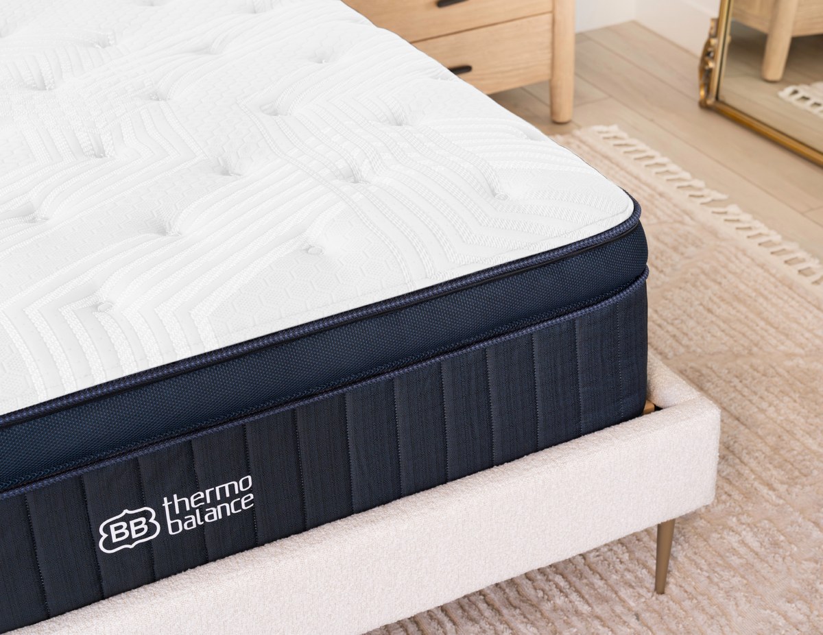 ThermoBalance LX